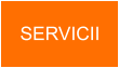 SERVICII